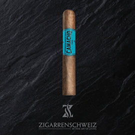 Camacho Ecuador Gordo, einzelne Zigarre mit Ecuador-Deckblatt und brasilianischem Umblatt