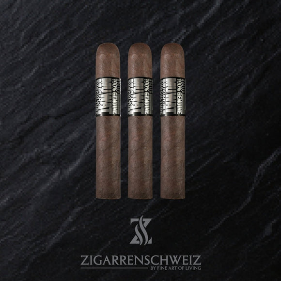 Drew Estate MUWAT 6 x 60 (Gordo) - Zigarrenschweiz Online Zigarren Boutique - 