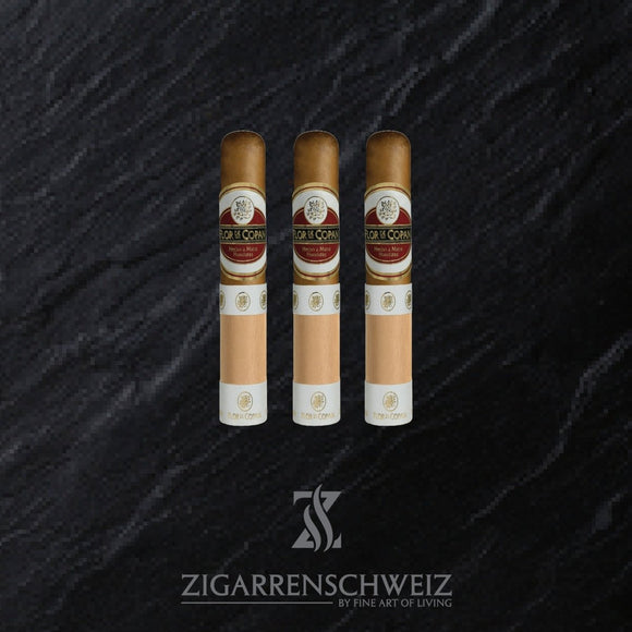 Flor de Copan Clasica Rothschild im 3er Zigarrenetui
