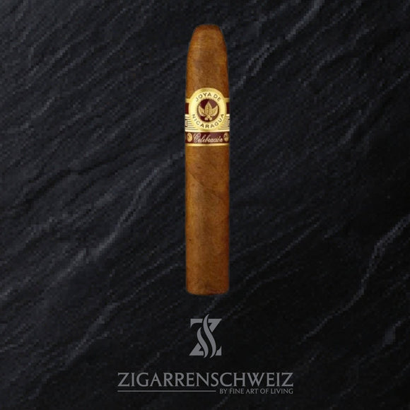 Joya de Nicaragua Celebracion Gordos - Zigarrenschweiz Online Zigarren Boutique - 