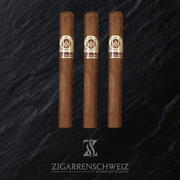 Joya de Nicaragua Celebracion Toro - Zigarrenschweiz Online Zigarren Boutique - 