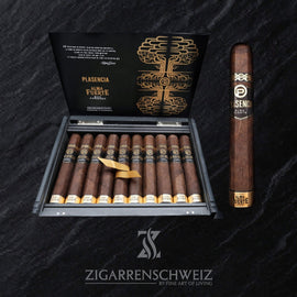 Plasencia Alma Fuerte Sixto II, geöffnete 10er Zigarrenkiste mit Blick auf die Hexágono Zigarren in dunklem nicaraguanischem Deckblatt