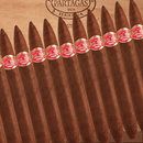 Partagas Presidente - Zigarrenschweiz Online Zigarren Boutique - 