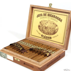 Joya de Nicaragua Clasico Piccolino - Zigarrenschweiz Online Zigarren Boutique - 
